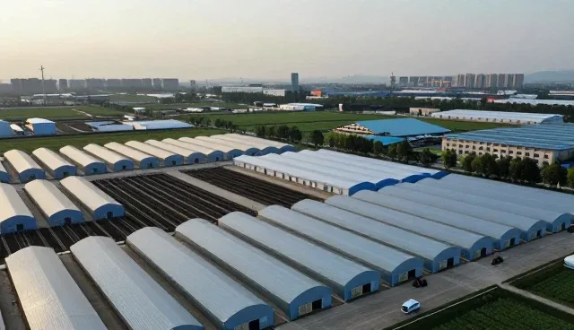 行业资讯套餐性能优化与适用场景分析